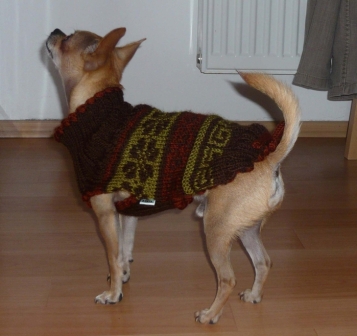 Вязанье для собак