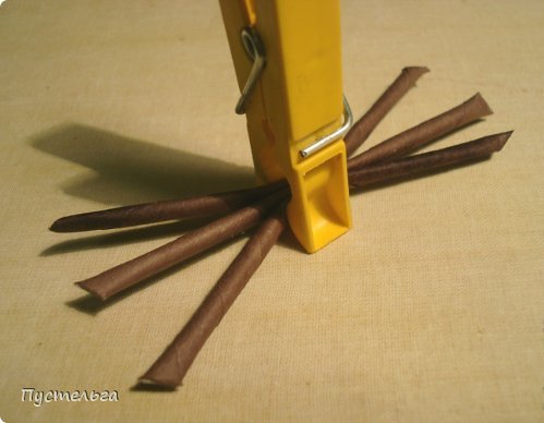 Насекомые мухи и тараканы из газет