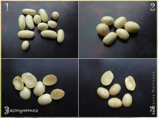 Божьи коровки из фасоли своими руками