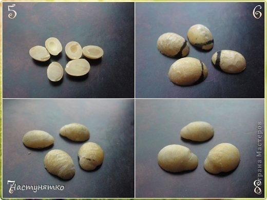 Божьи коровки из фасоли своими руками