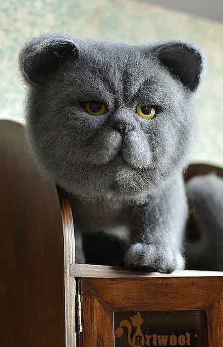 Коты и кошки в технике сухого валяния. Мастер-класс