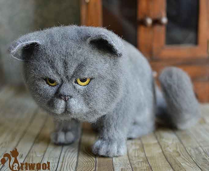 Коты и кошки в технике сухого валяния. Мастер-класс