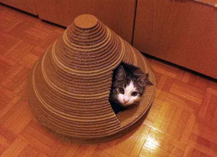 Кошкин домик из картона. Мастер-класс