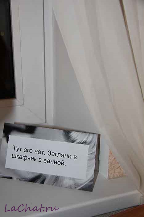 Как поздравить по-особенному