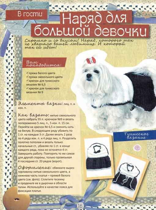 Вяжем домашним любимцам своими руками