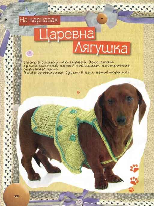 Вяжем домашним любимцам своими руками