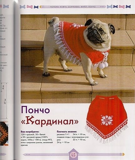 Вяжем для собак своими руками. Спицы