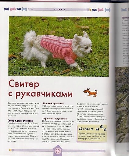 Вяжем для собак своими руками. Спицы