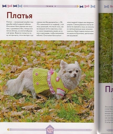 Вяжем для собак своими руками. Спицы