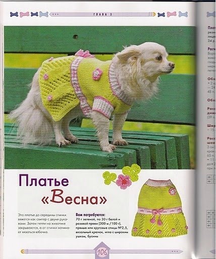 Вяжем для собак своими руками. Спицы